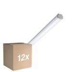 Monipakkaus 12x Philips LED Loisteputkivalaisimet Vedenkestävä WT060C 30W 3600lm - 865 Päivänvalo Valkoinen | 120cm