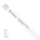 Ledvance LED Putki T8 Value (EM/Mains) Standard Output 15W 1800lm - 865 Päivänvalo Valkoinen | 120cm - Korvaa 36W