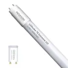 Noxion LED Putki T8 Avant Extreme (EM/Mains) Ultra Output 15.9W 2550lm - 840 Kylmä Valkoinen | 120cm - Korvaa 36W